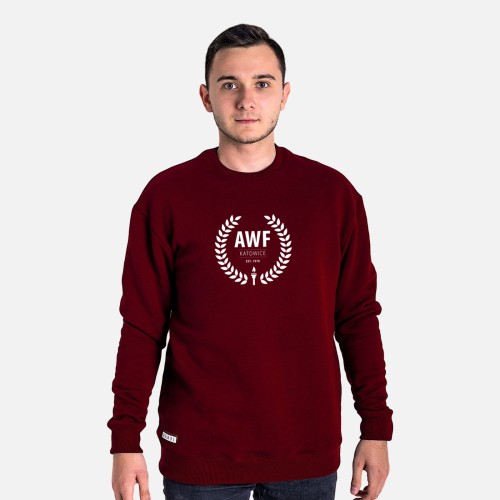 bez kaptura MESKA BORDOWA przod2.jpg