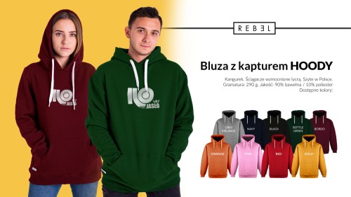 wizualka 1.jpg
